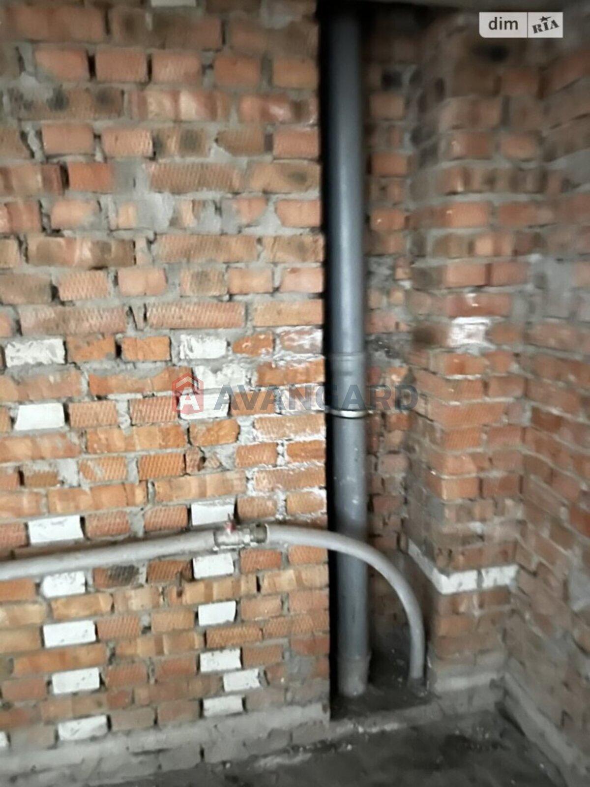 5 ����. ��������, 127/-/- ��. �., 10/10 ���� ���� 25