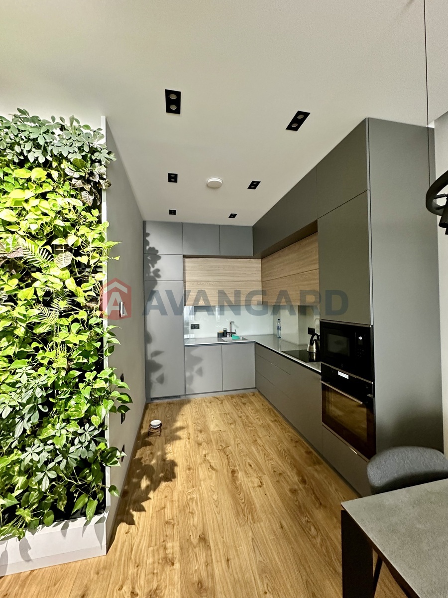 3 . , 62/45/18 . ., 4/6   4