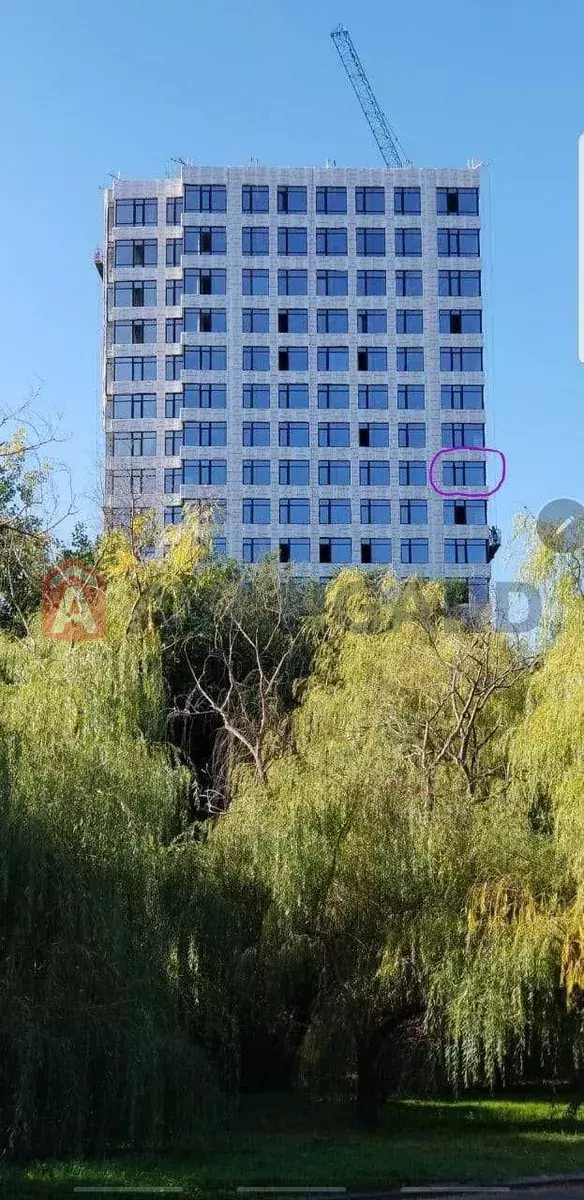 3 . , 91/-/15 . ., 8/17   5