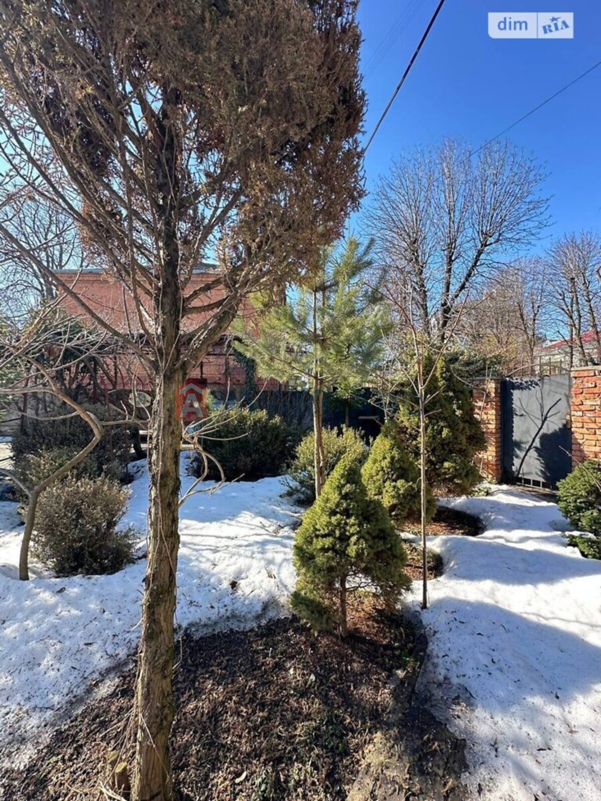 2 ��. ��������, 65/-/- ��. �., 1/2 ������ ���� 11