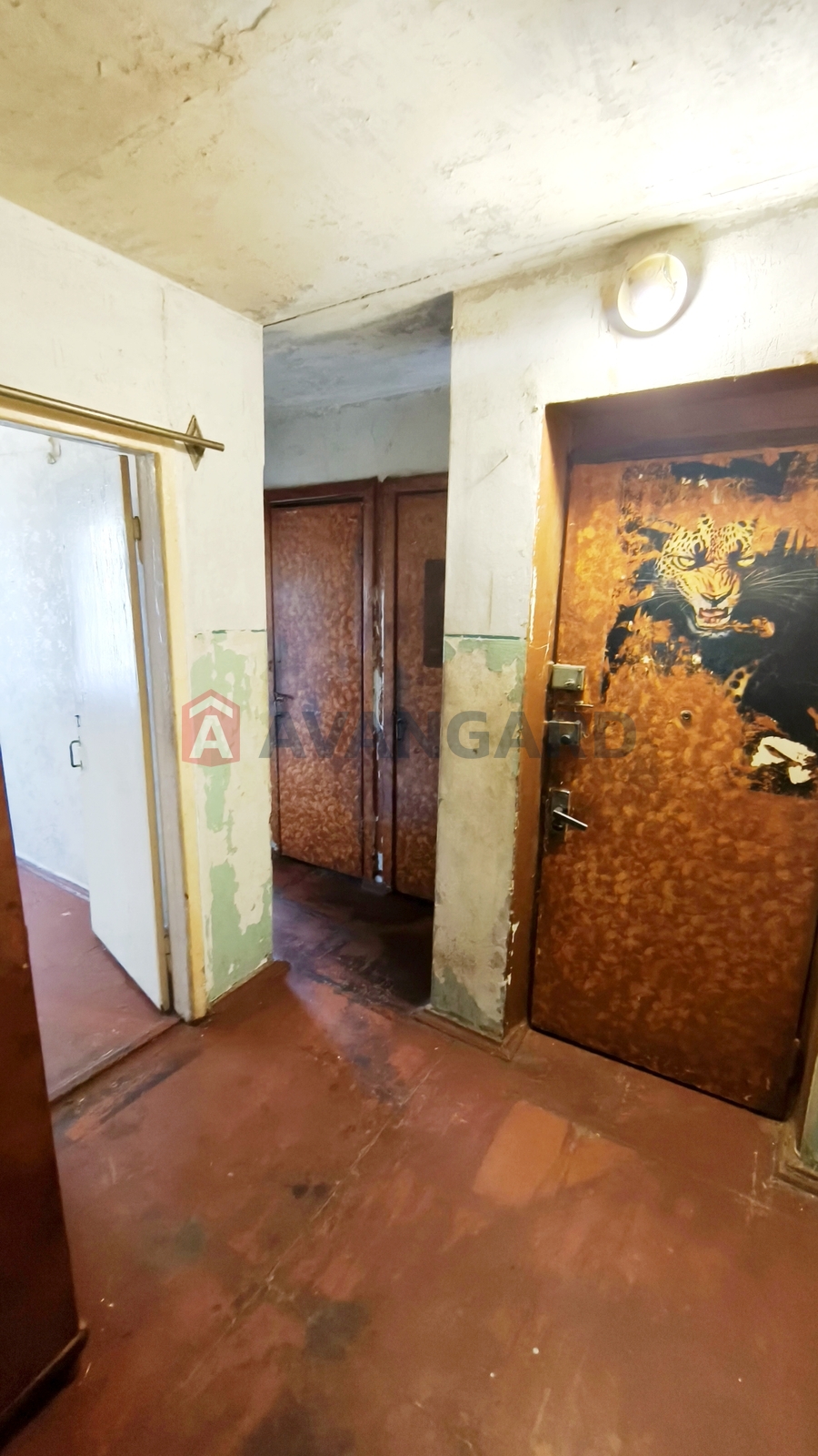 3 ��. ��������, 49,2/34,9/6 ��. �., 1/5 ������ ���� 10