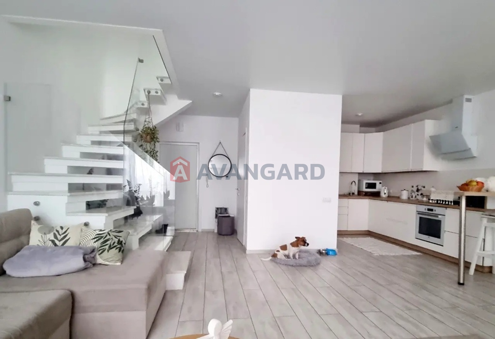 3 ����. ��������, 81/23/36 ��. �., 9/9 ���� ���� 7