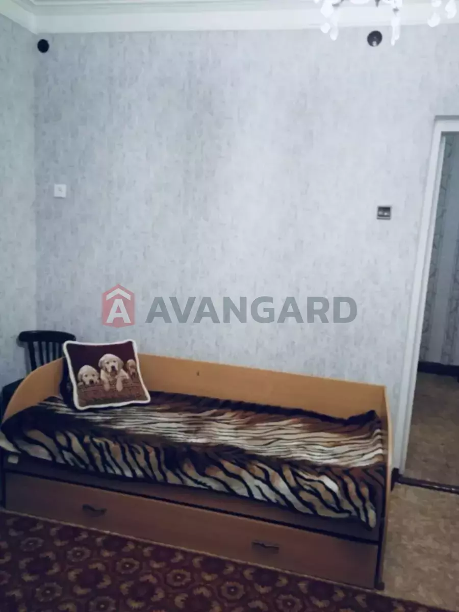 2 ����. ��������, 51/51/5 ��. �., 2/2 ���� ���� 6