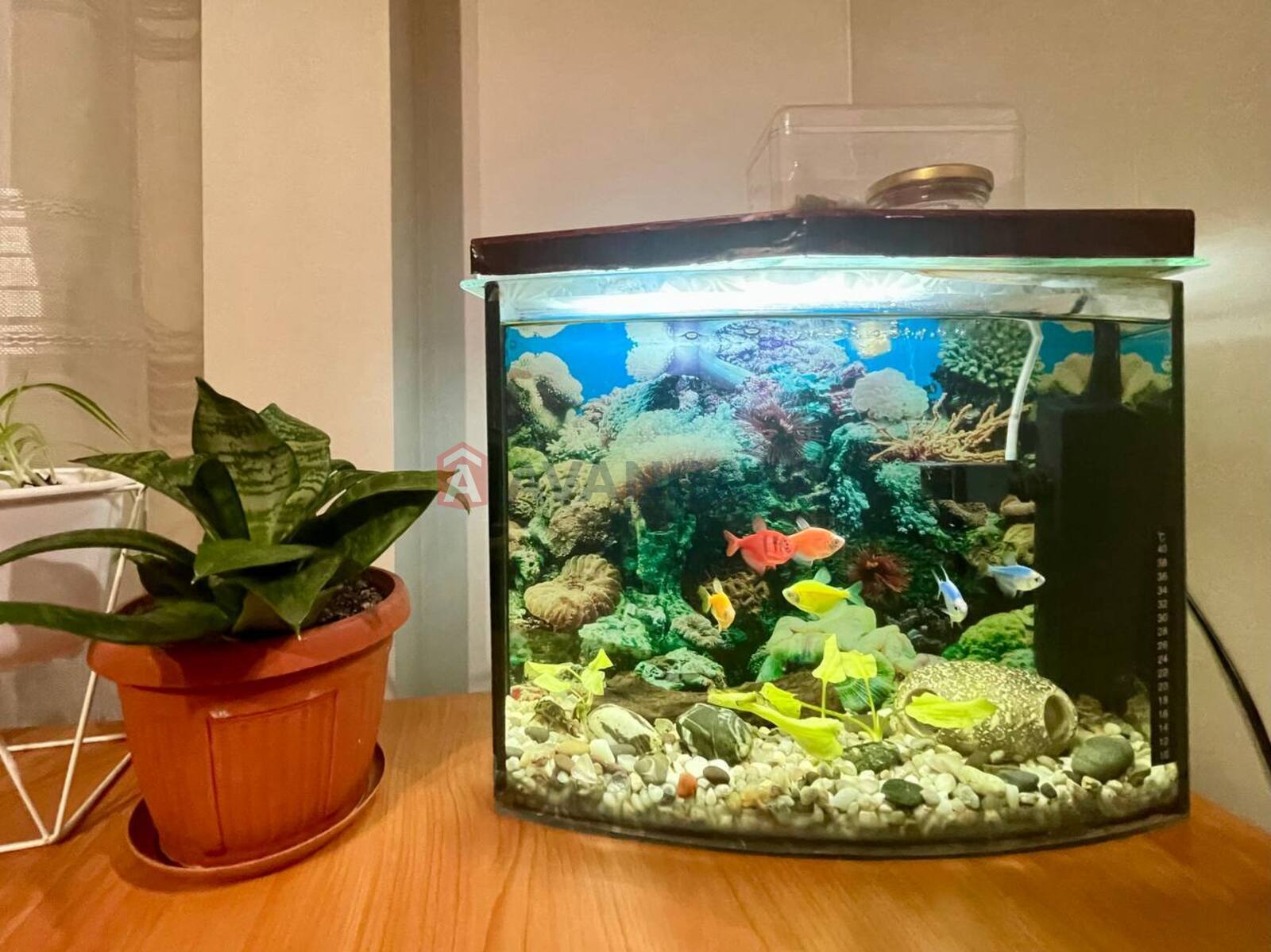 3 ��. ��������, 56/-/7 ��. �., 3/3 ������ ���� 7