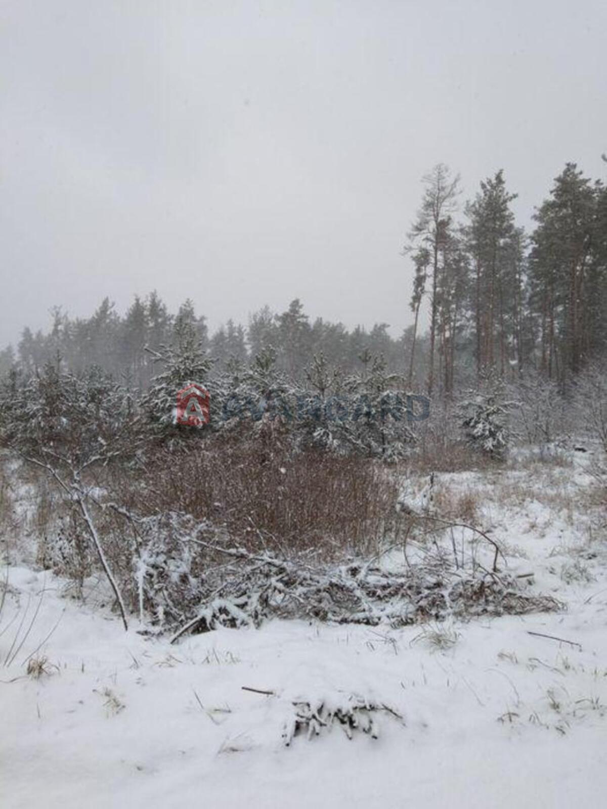 2 ��. ��������, 81/-/20 ��. �., 3/6 ������ ���� 15