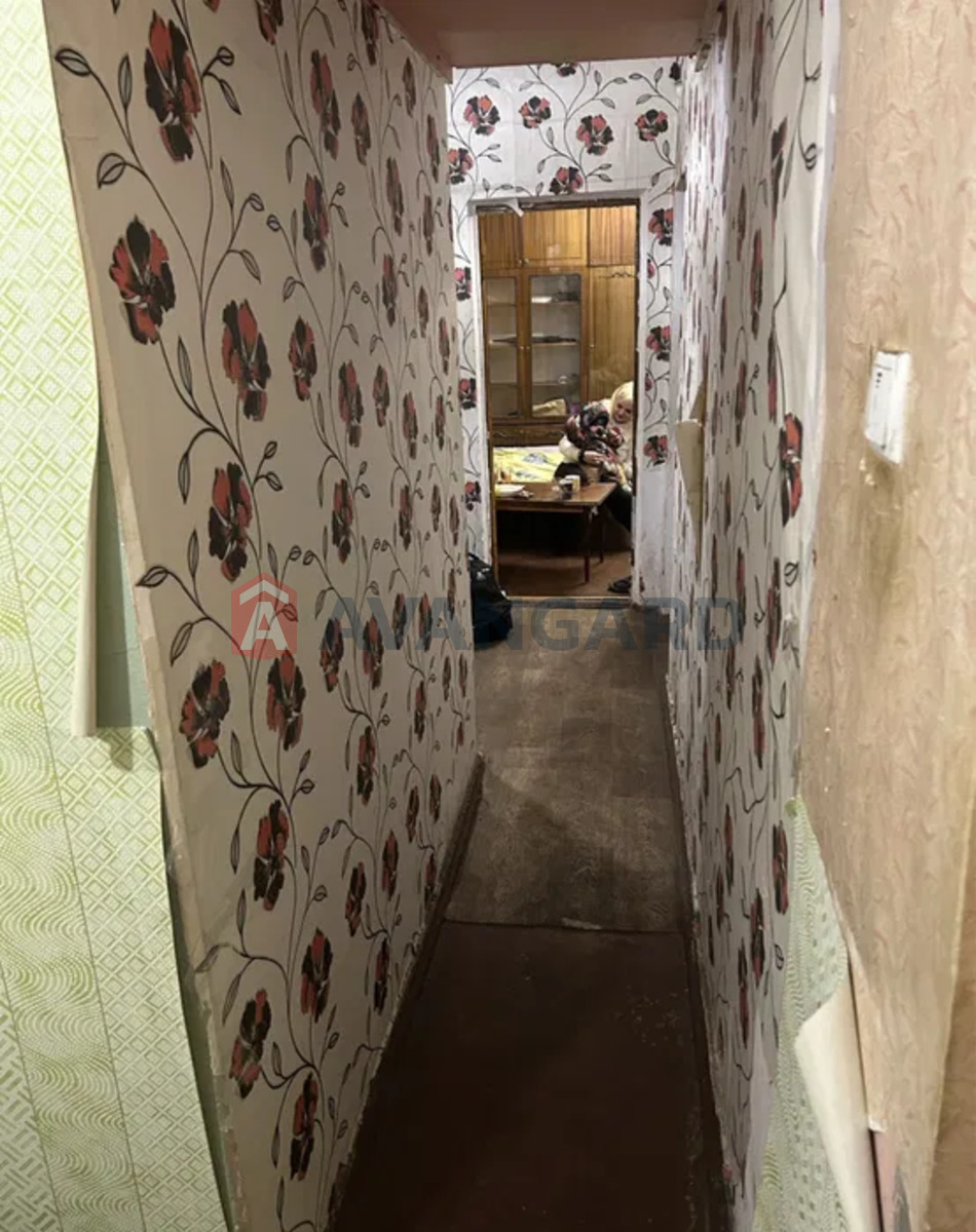 3 ��. ��������, 50/36/5 ��. �., 5/5 ������ ���� 8