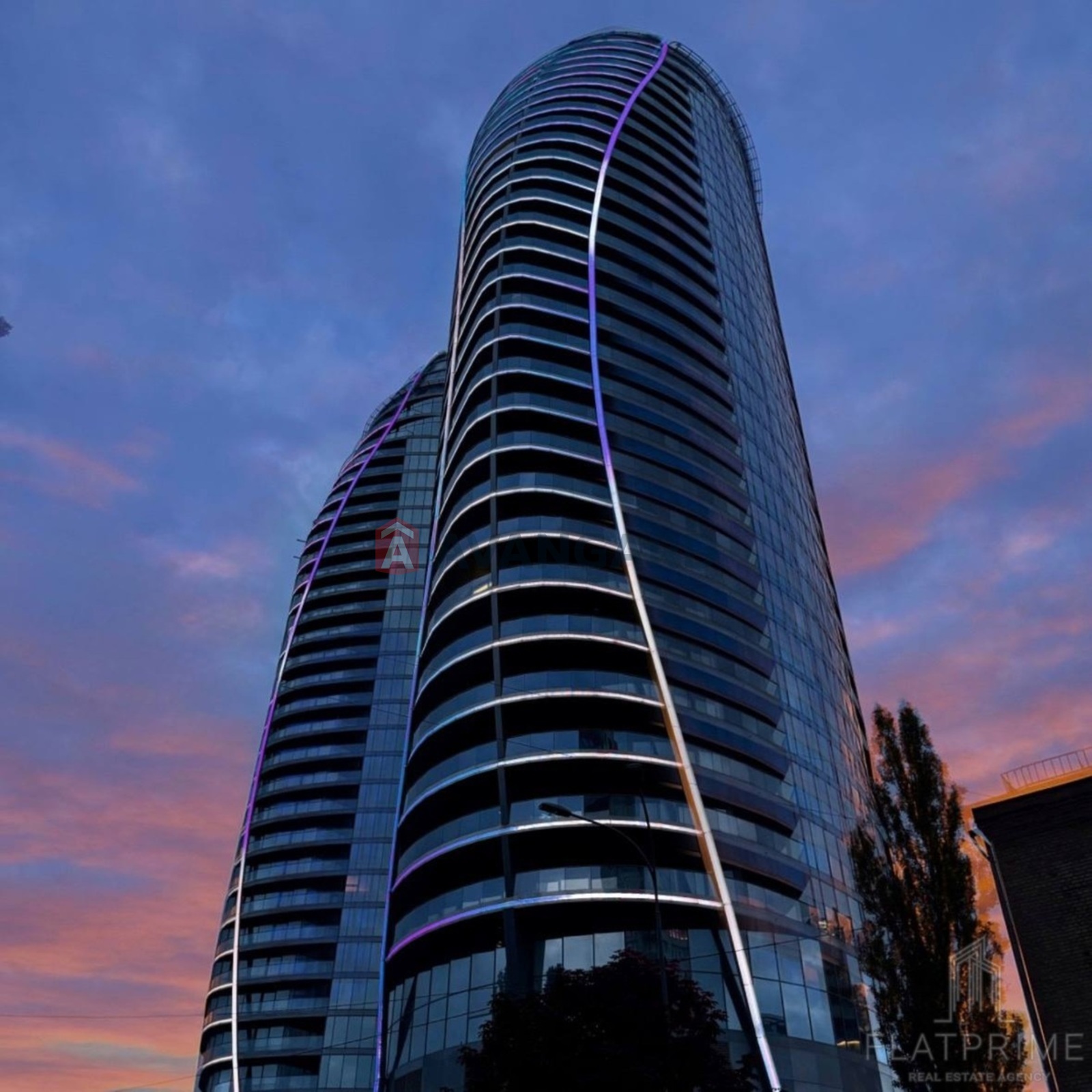 2 ��. ��������, 91/31/29 ��. �., 7/31 ������ ���� 2