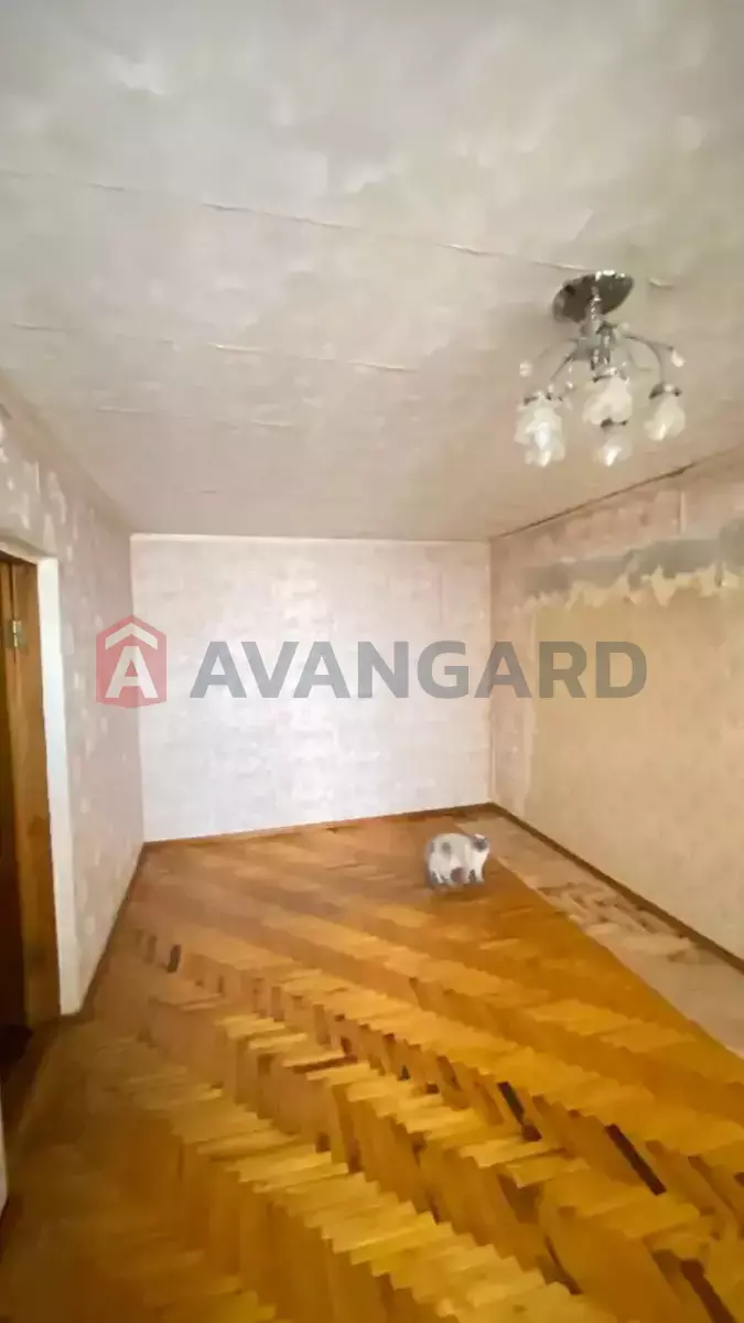 3 ����. ��������, 64/-/7 ��. �., 8/9 ���� ���� 8