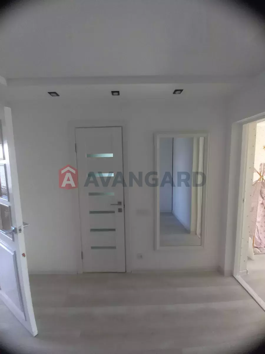 3 ��. ��������, 64/38/11 ��. �., 10/10 ������ ���� 19