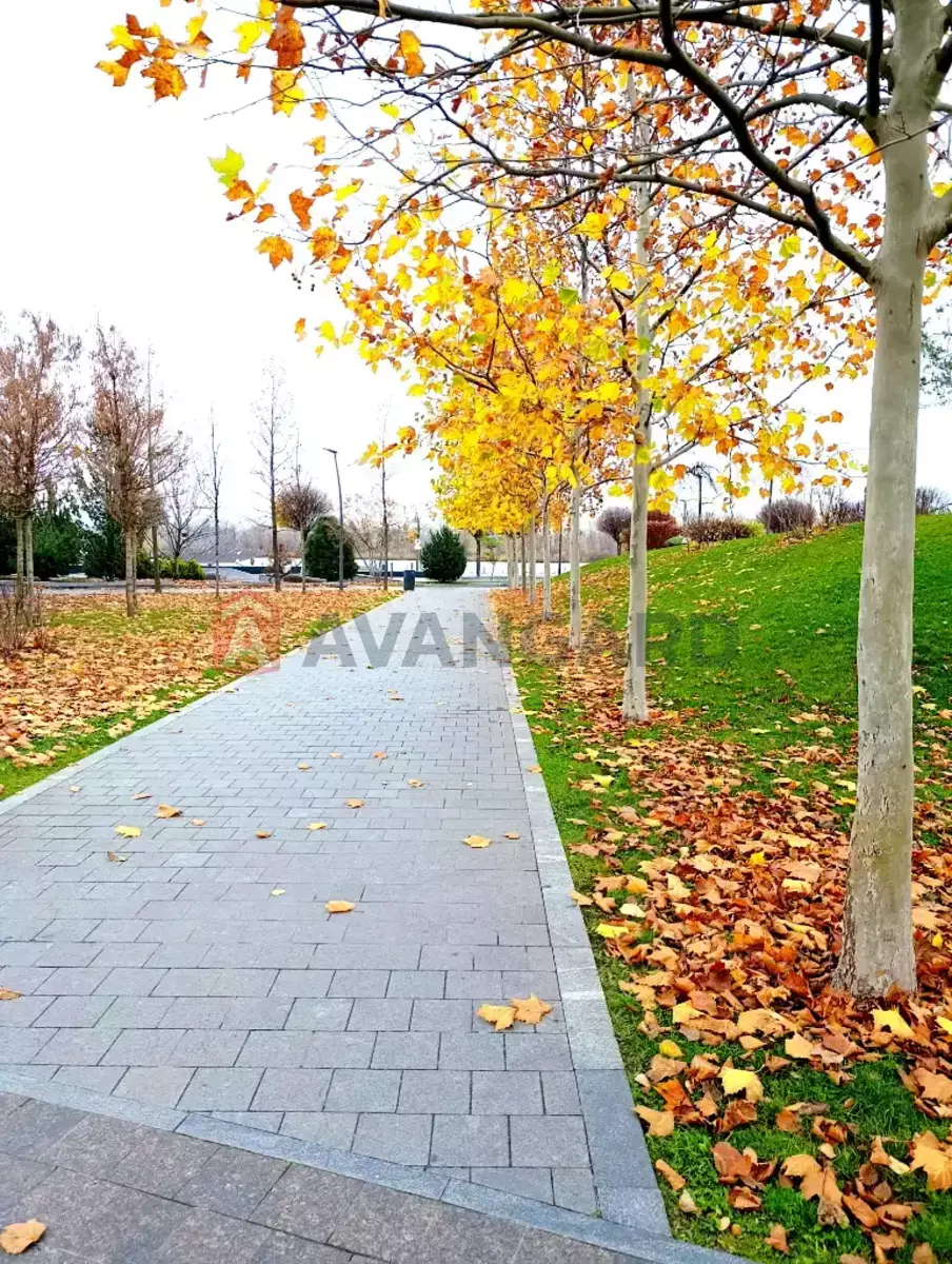 1 . , 30/-/7 . ., 8/12   11