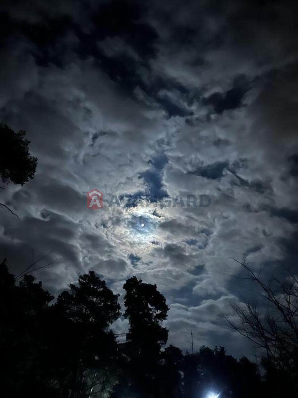 2 ��. ��������, 81/-/20 ��. �., 3/6 ������ ���� 19