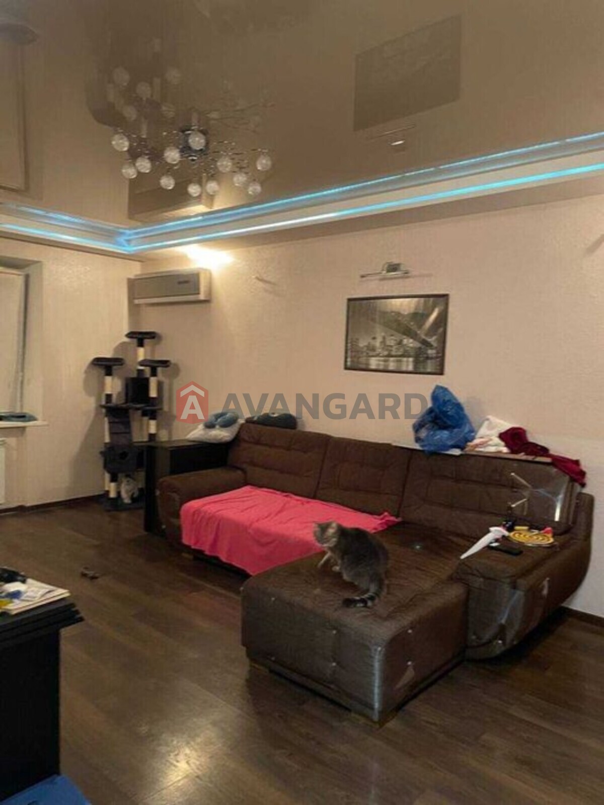 4 ����. ��������, 86/-/15 ��. �., 5/9 ���� ���� 8