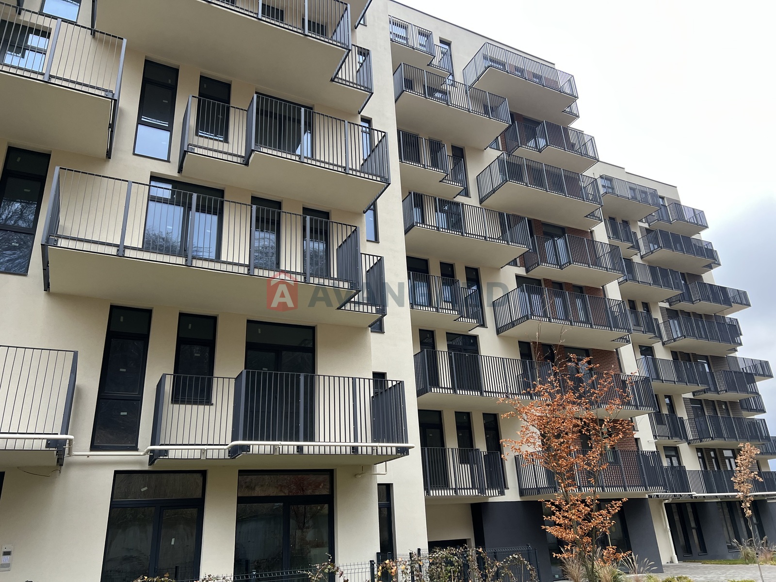 2 ����. ��������, 64.7/33/23 ��. �., 7/8 ���� ���� 1