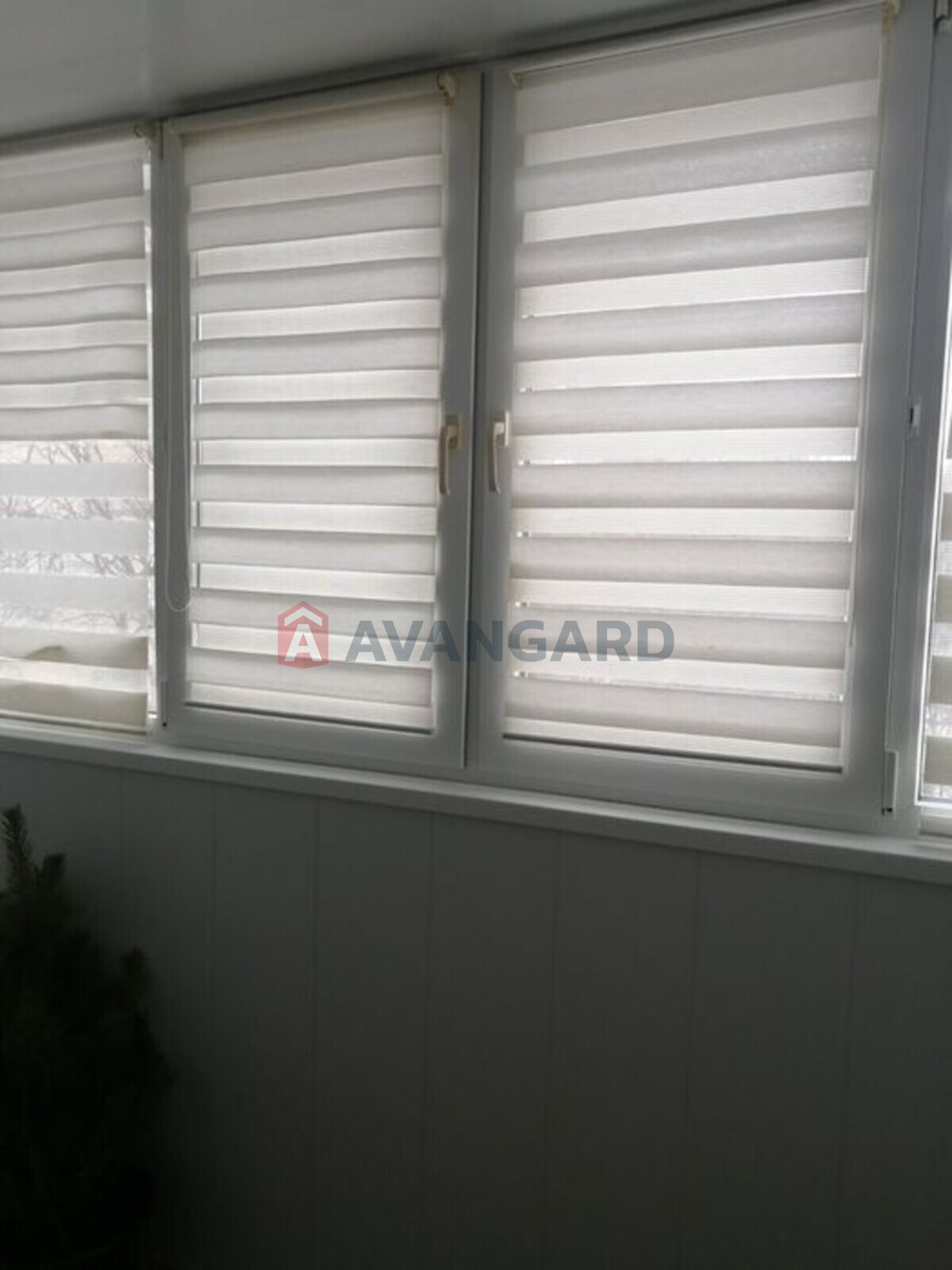 2 ����. ��������, 52/-/8 ��. �., 2/9 ���� ���� 5