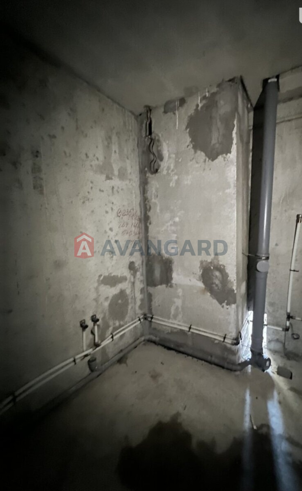 1 ��. ��������, 33/16/5 ��. �., 1/24 ������ ���� 5