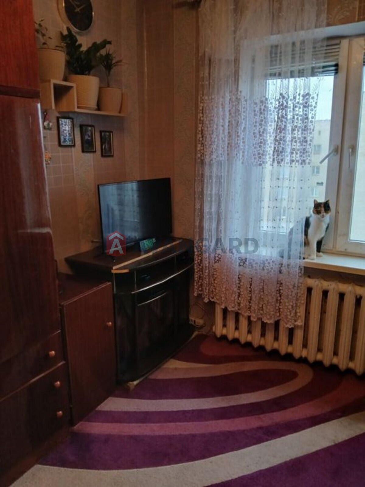 2 . , 51/-/8 . ., 9/9   3