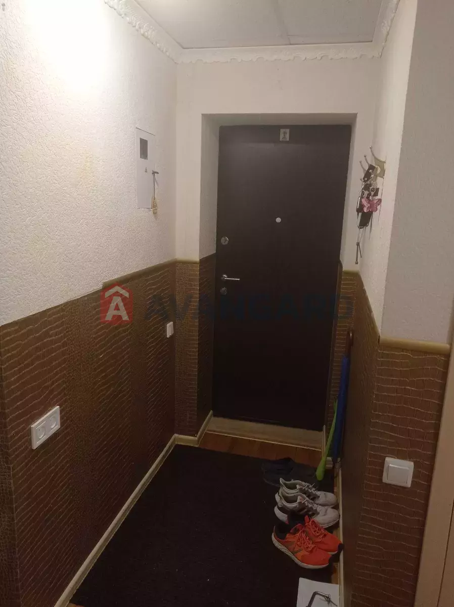 3 ��. ��������, 64/50/7 ��. �., 5/5 ������ ���� 5