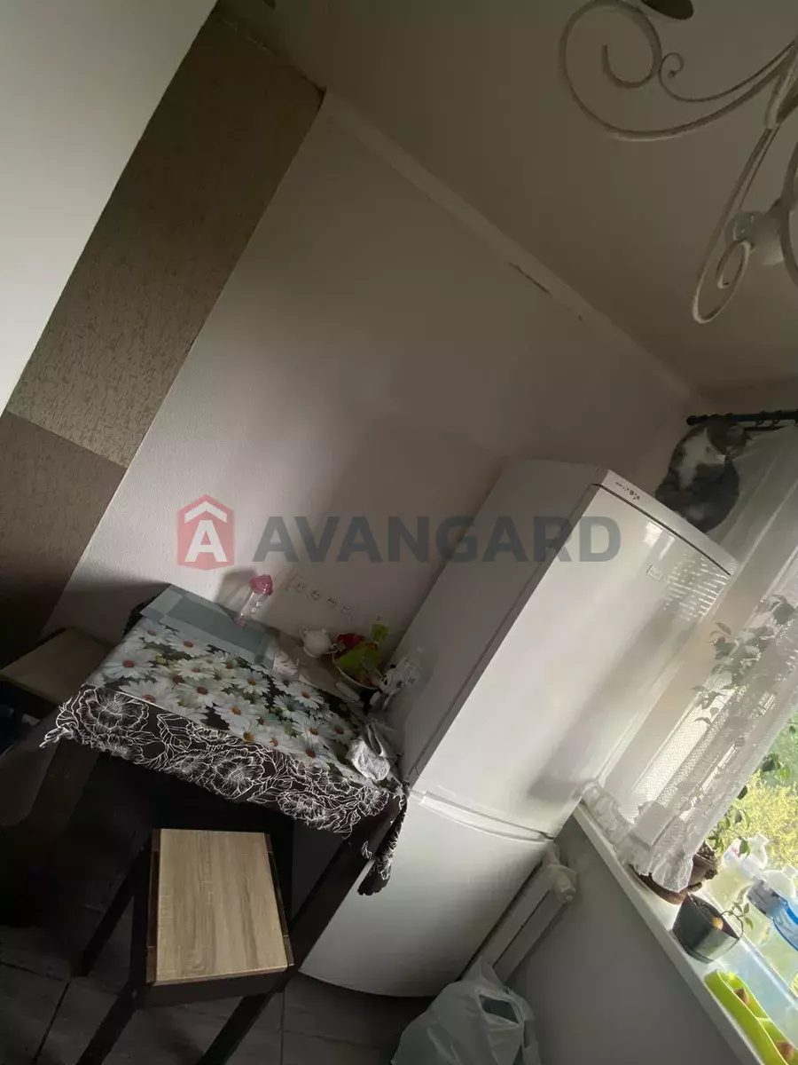 2 ��. ��������, 45/28/6 ��. �., 5/5 ������ ���� 3