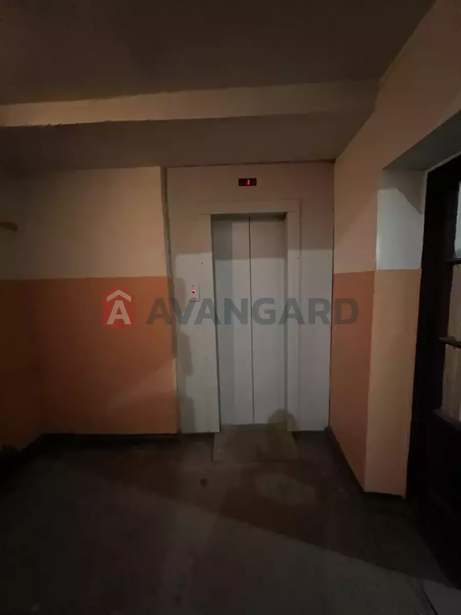 2 . , 55/-/- . ., 7/7   18