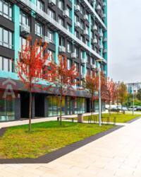 2 ��. ��������, 64/25/17 ��. �., 22/23 ������ ���� 12