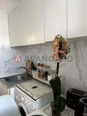 1 ����. ��������, 29/16/5 ��. �., 7/9 ���� ���� 8