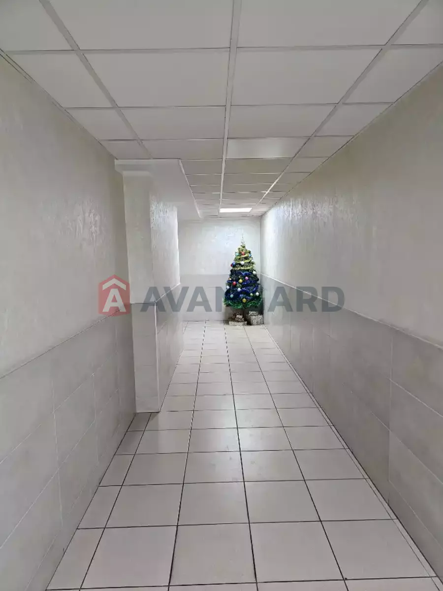 3 ��. ��������, 107/73/18 ��. �., 10/10 ������ ���� 5