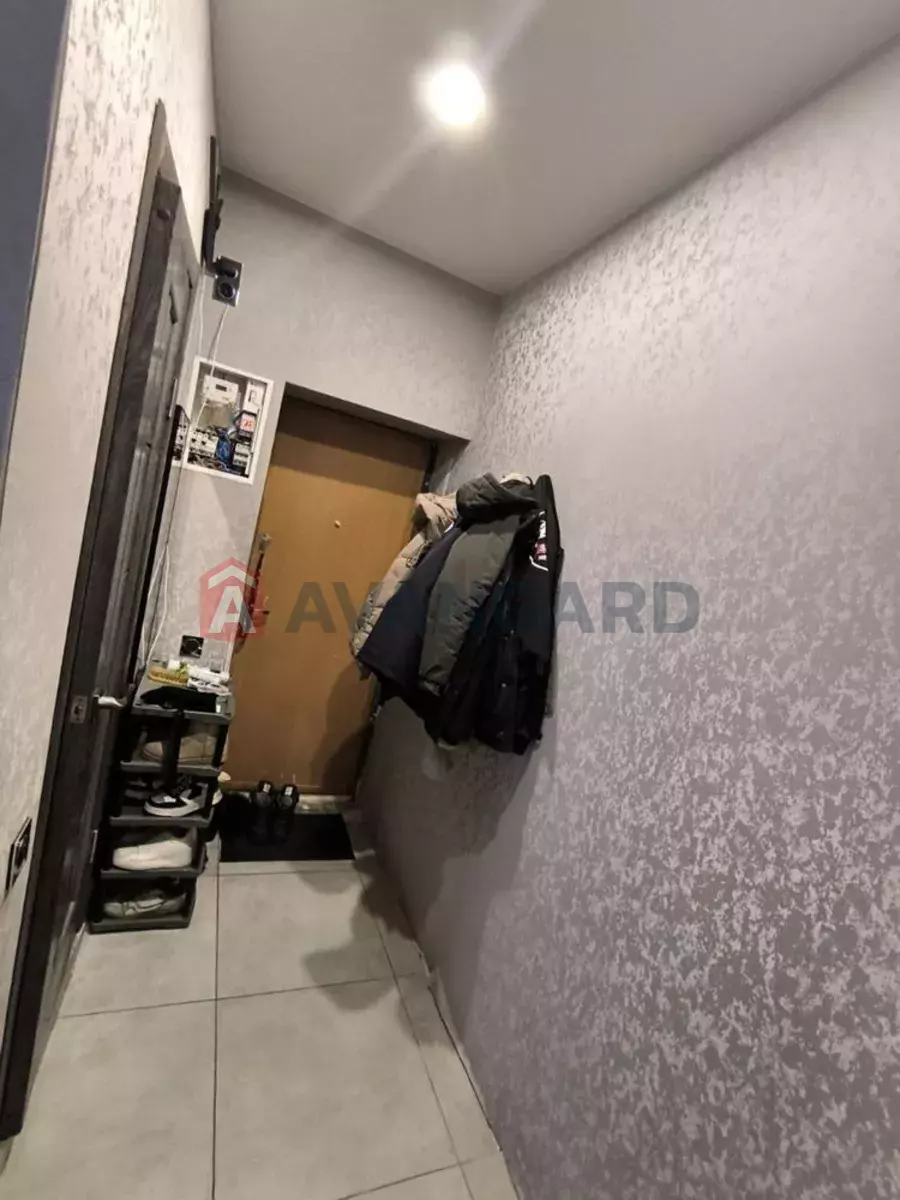 2 ��. ��������, 42/-/6 ��. �., 1/2 ������ ���� 3