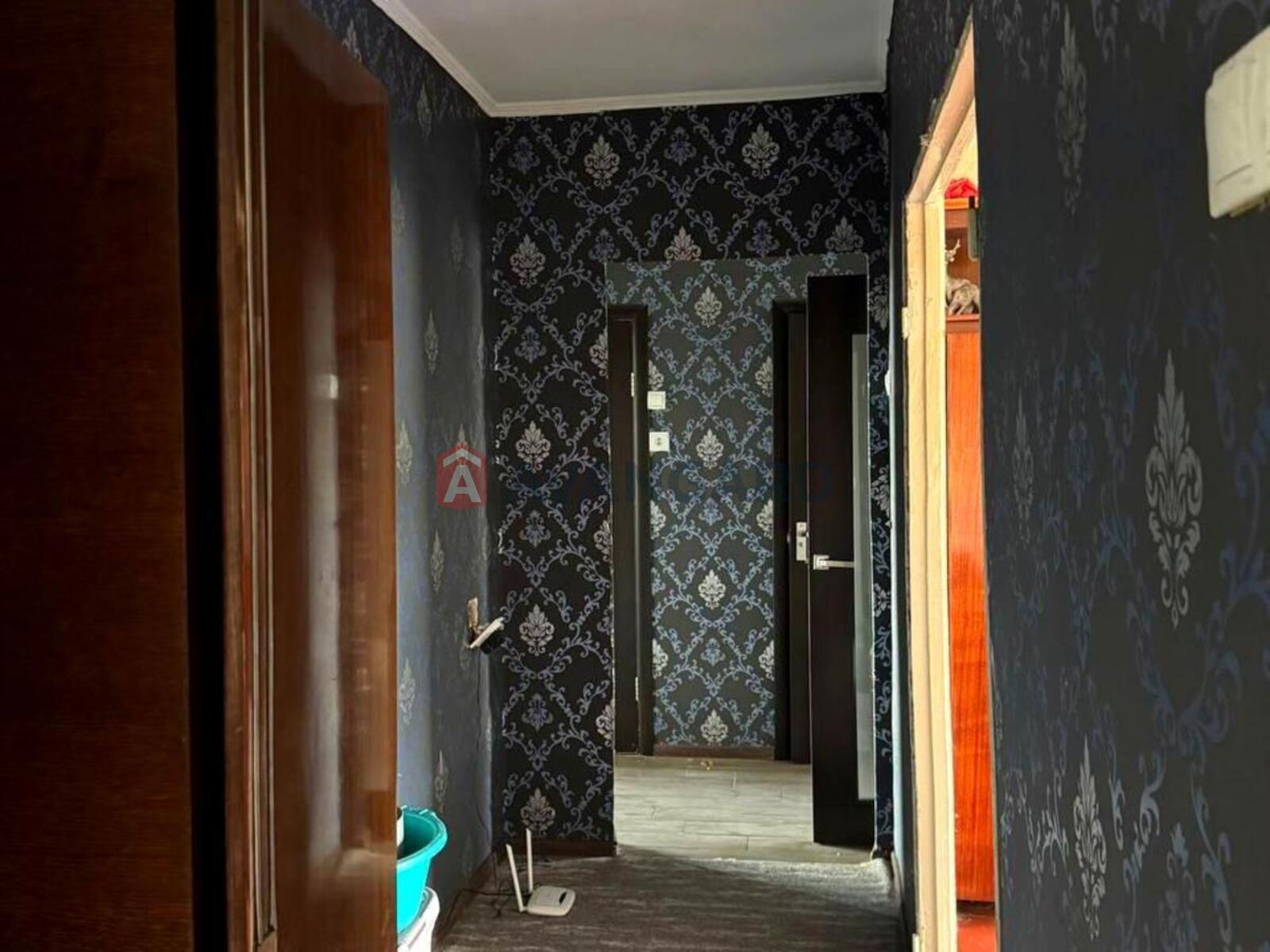 3 ��. ��������, 65/38/8 ��. �., 9/9 ������ ���� 11