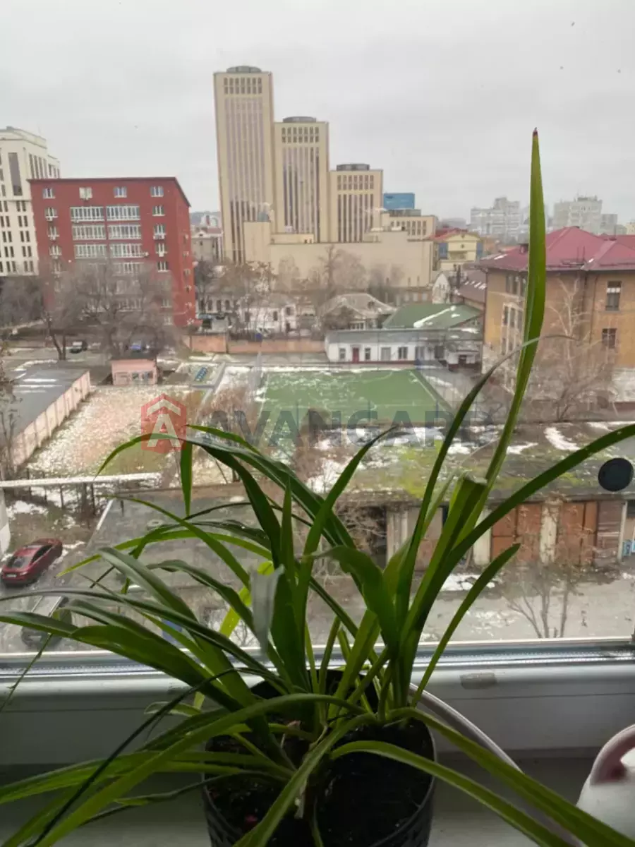 3 ����. ��������, 66/-/- ��. �., 7/8 ���� ���� 24