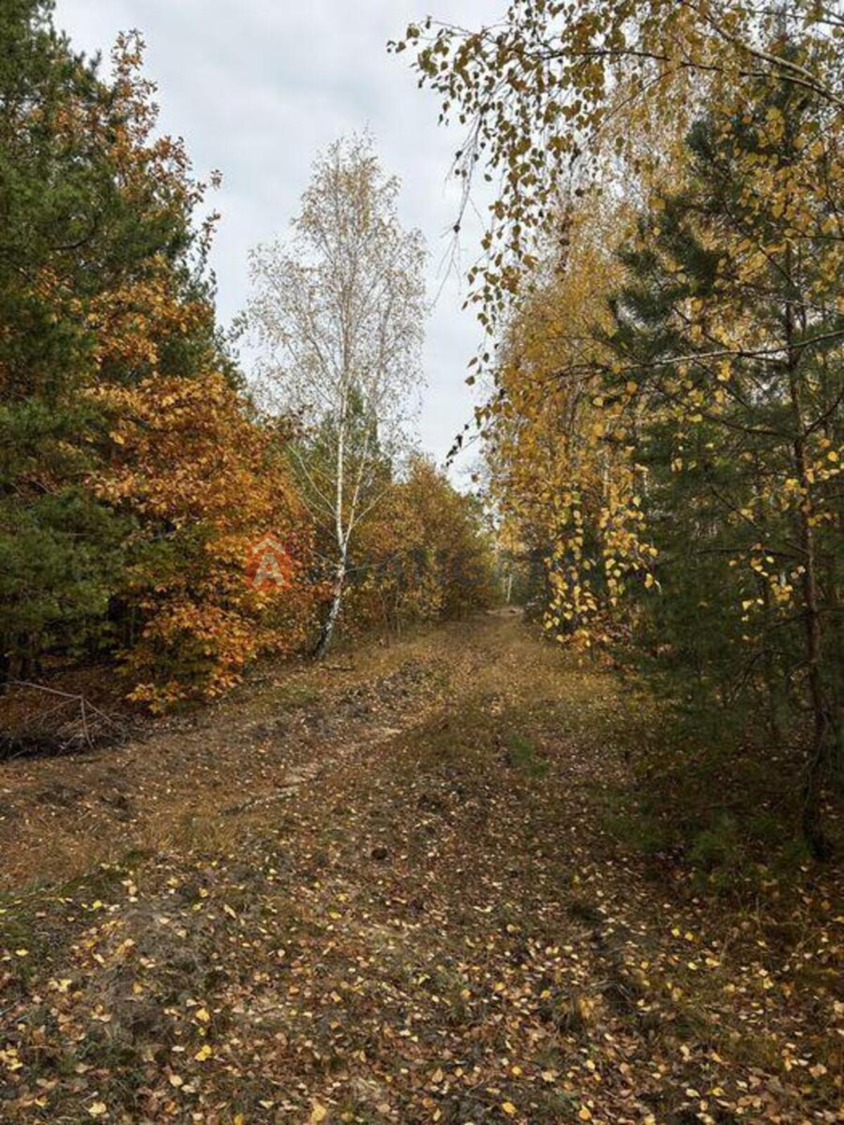 2 ��. ��������, 81/-/20 ��. �., 3/6 ������ ���� 7