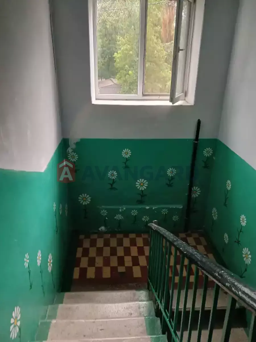 1 ����. ��������, 33/17/6 ��. �., 2/2 ���� ���� 10