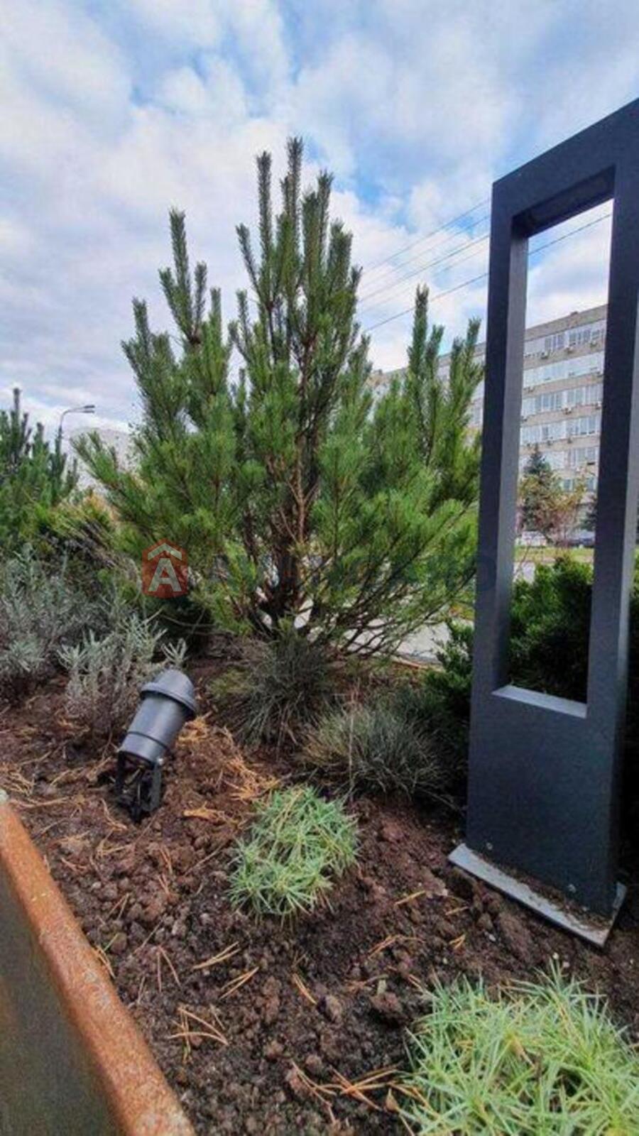 2 ��. ��������, 69/-/24 ��. �., 19/24 ������ ���� 15