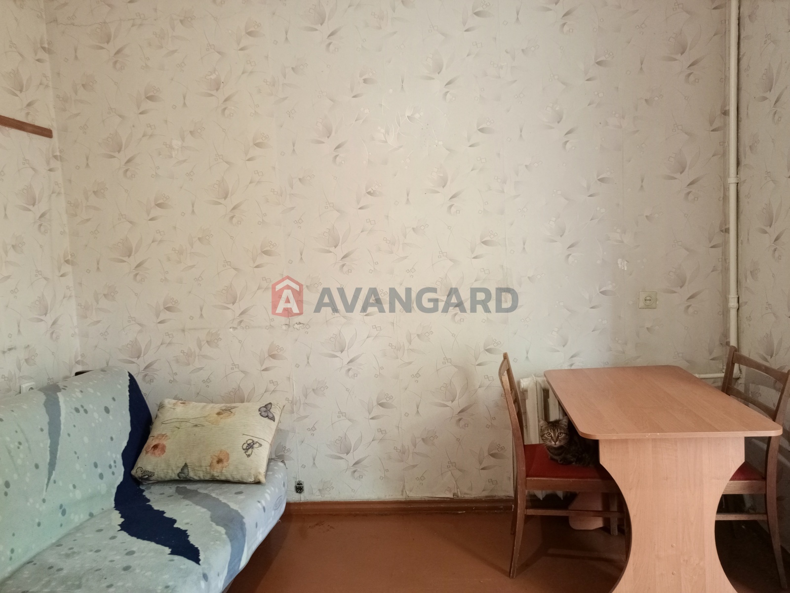 2 . , 48.9/31/5.7 . ., 3/3   8