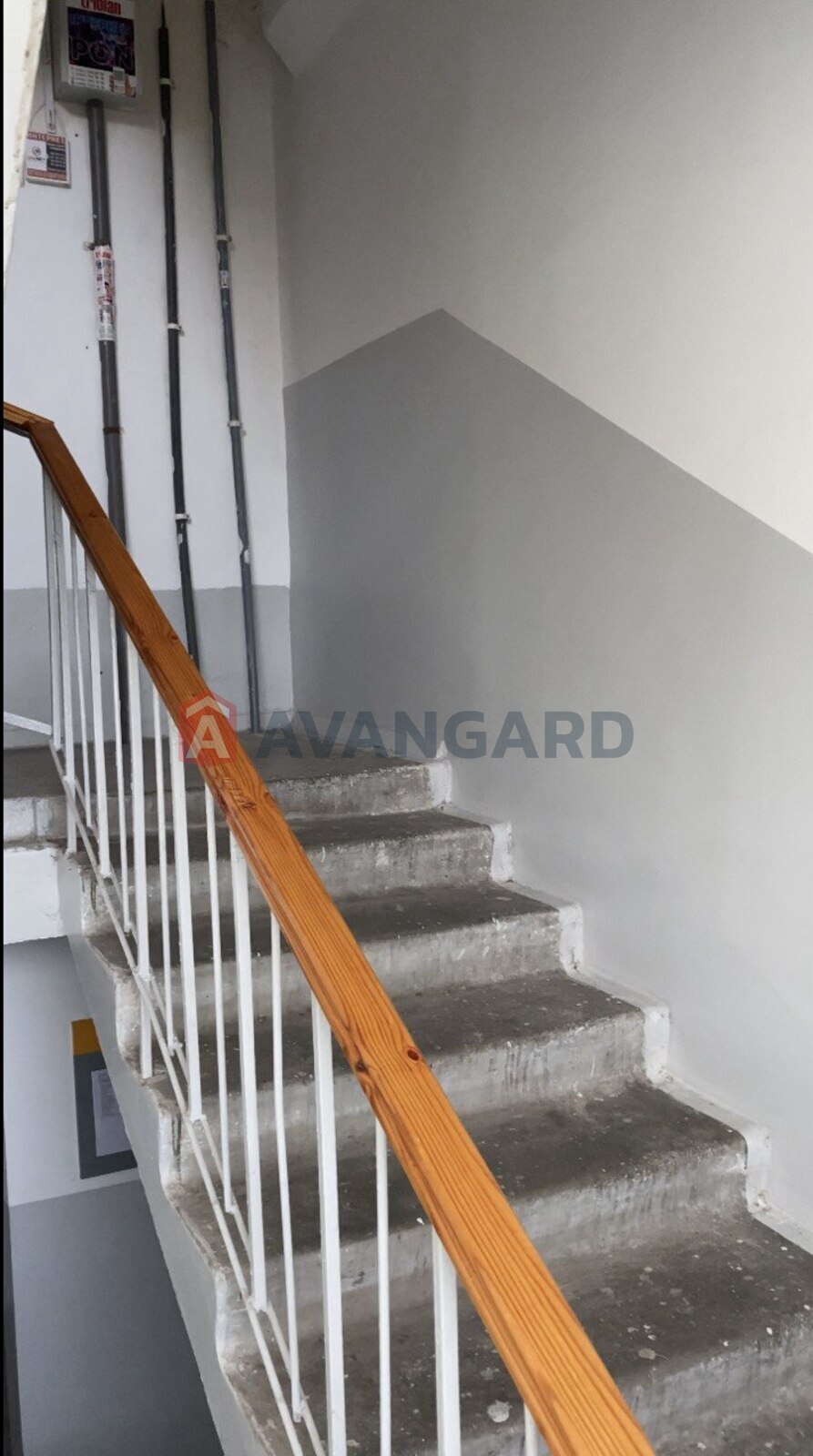 3 . , 70/-/8 . ., 4/9   19