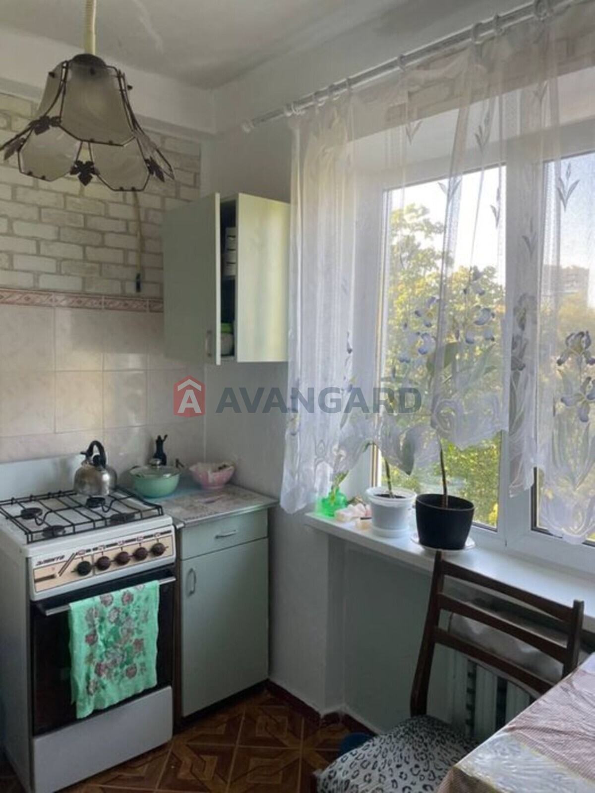 2 ��. ��������, 45/-/6 ��. �., 5/5 ������ ���� 2