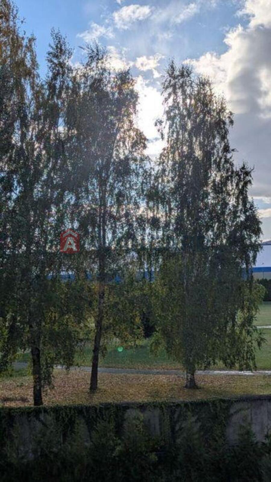 1 ��. ��������, 26/-/5 ��. �., 2/8 ������ ���� 8