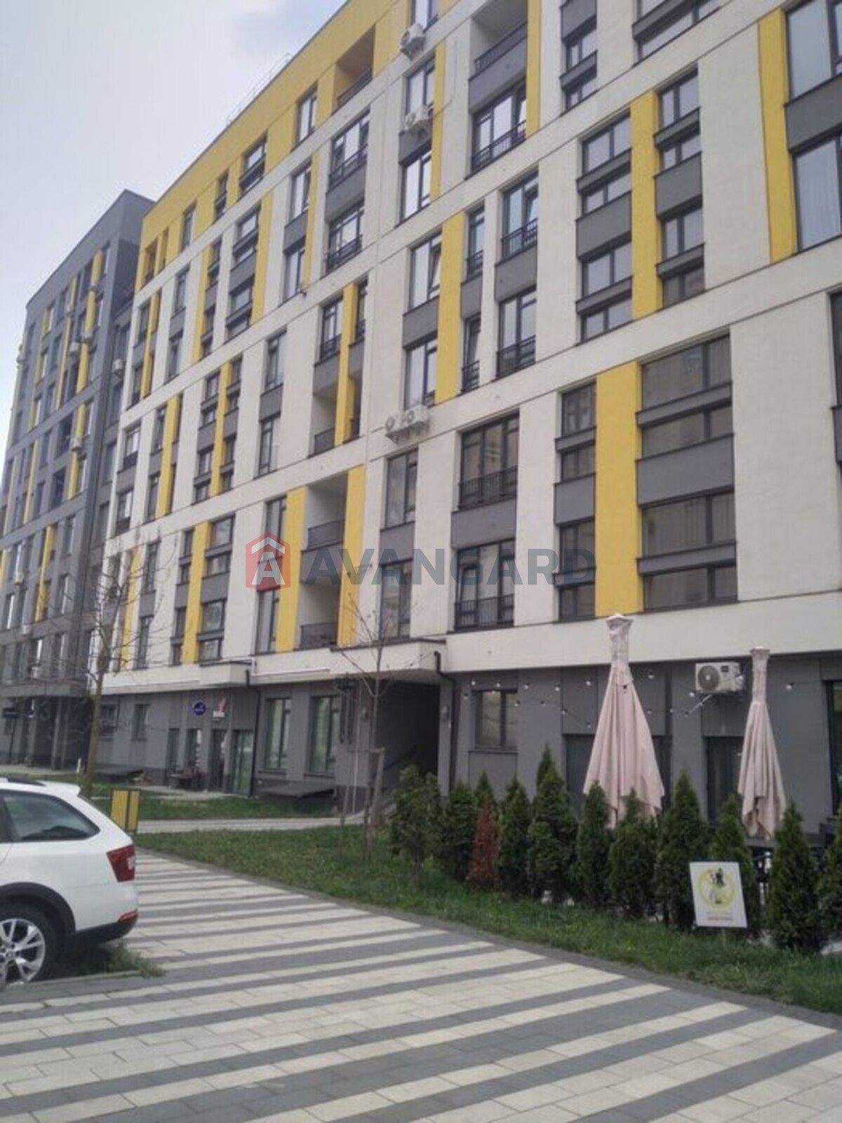 2 . , 56/-/17 . ., 3/9   2