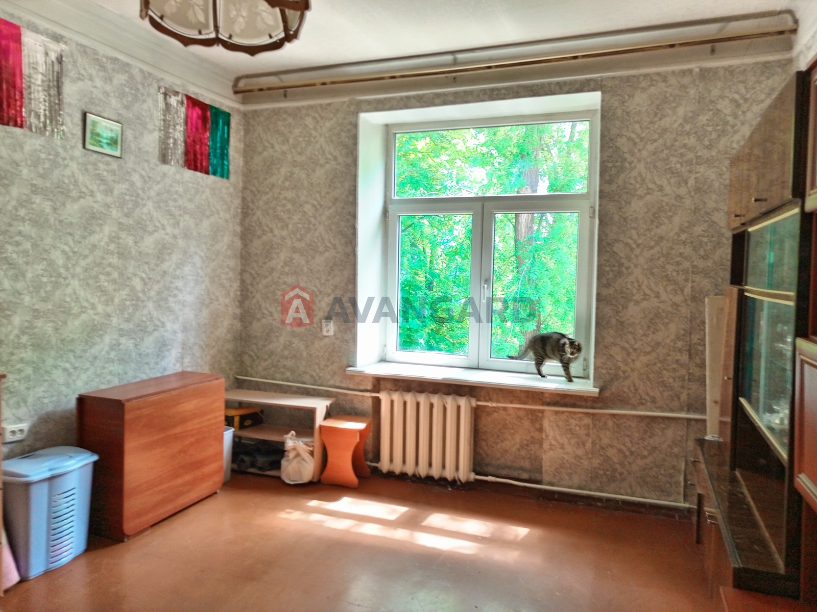 2 . , 48.9/31/5.7 . ., 3/3   2