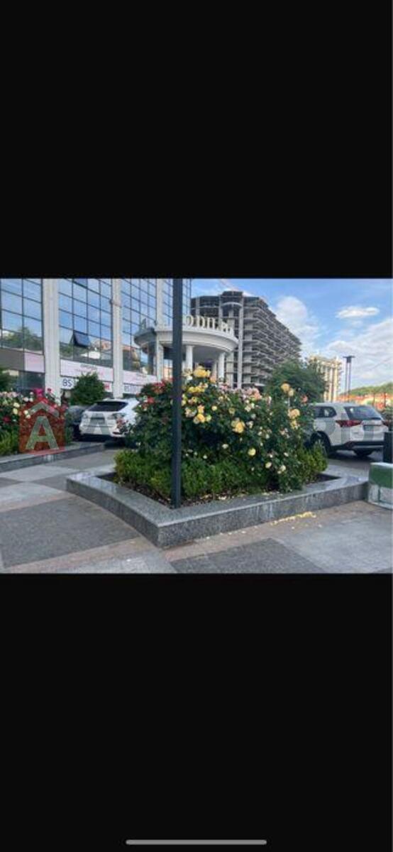 1 ��. ��������, 37/-/16 ��. �., 12/26 ������ ���� 10