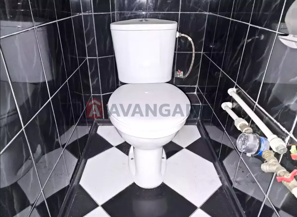 3 ����. ��������, 73/41/9 ��. �., 8/14 ���� ���� 8