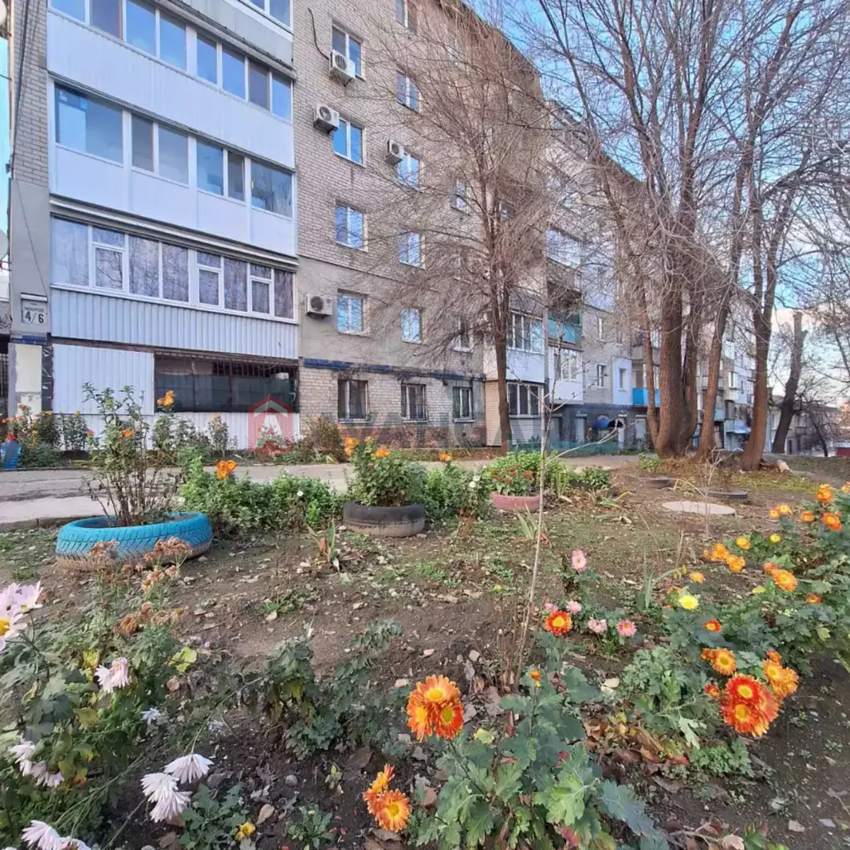 1 ��. ��������, 30/16/6 ��. �., 1/5 ������ ���� 16