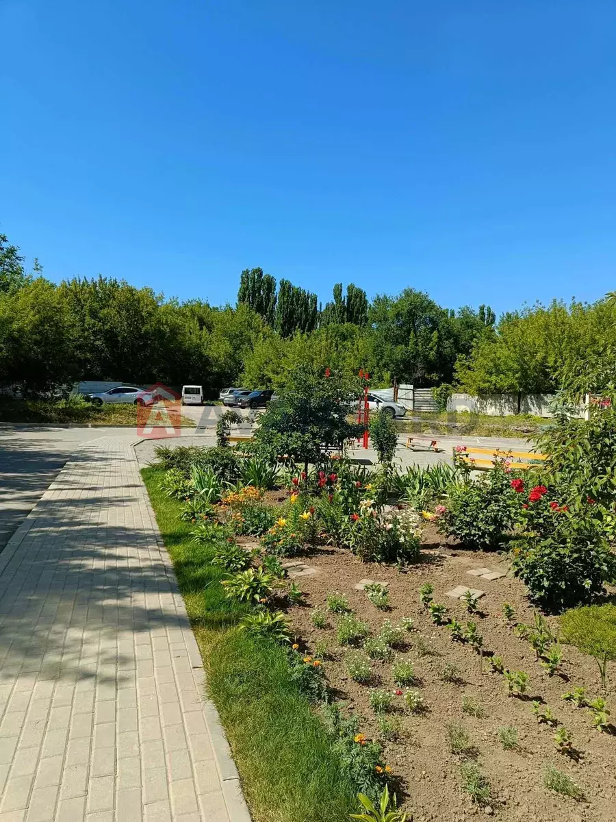 1 ��. ��������, 46/-/14 ��. �., 10/10 ������ ���� 14