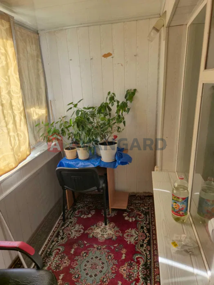 2 ����. ��������, 49/-/8 ��. �., 4/9 ���� ���� 6