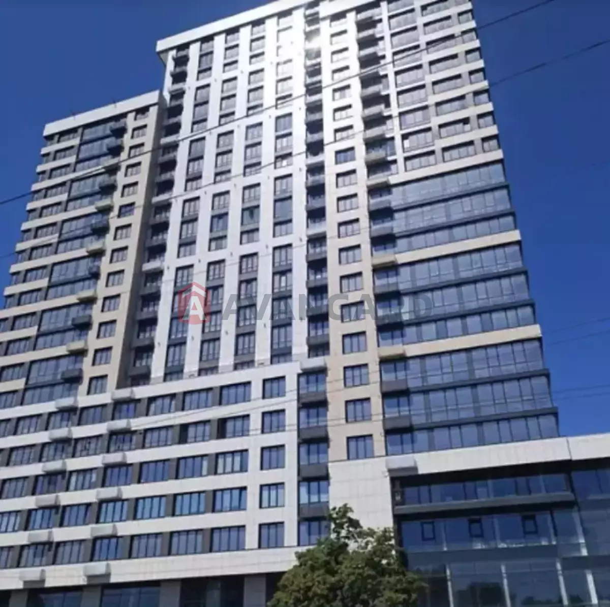 1 ��. ��������, 49/18/14 ��. �., 5/24 ������ ���� 19