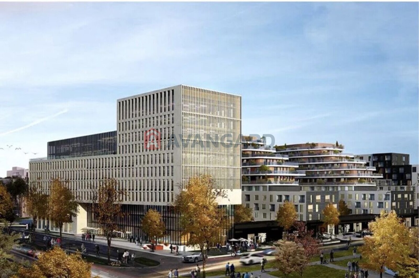 1 ����. ��������, 53/-/20 ��. �., 9/10 ���� ���� 2