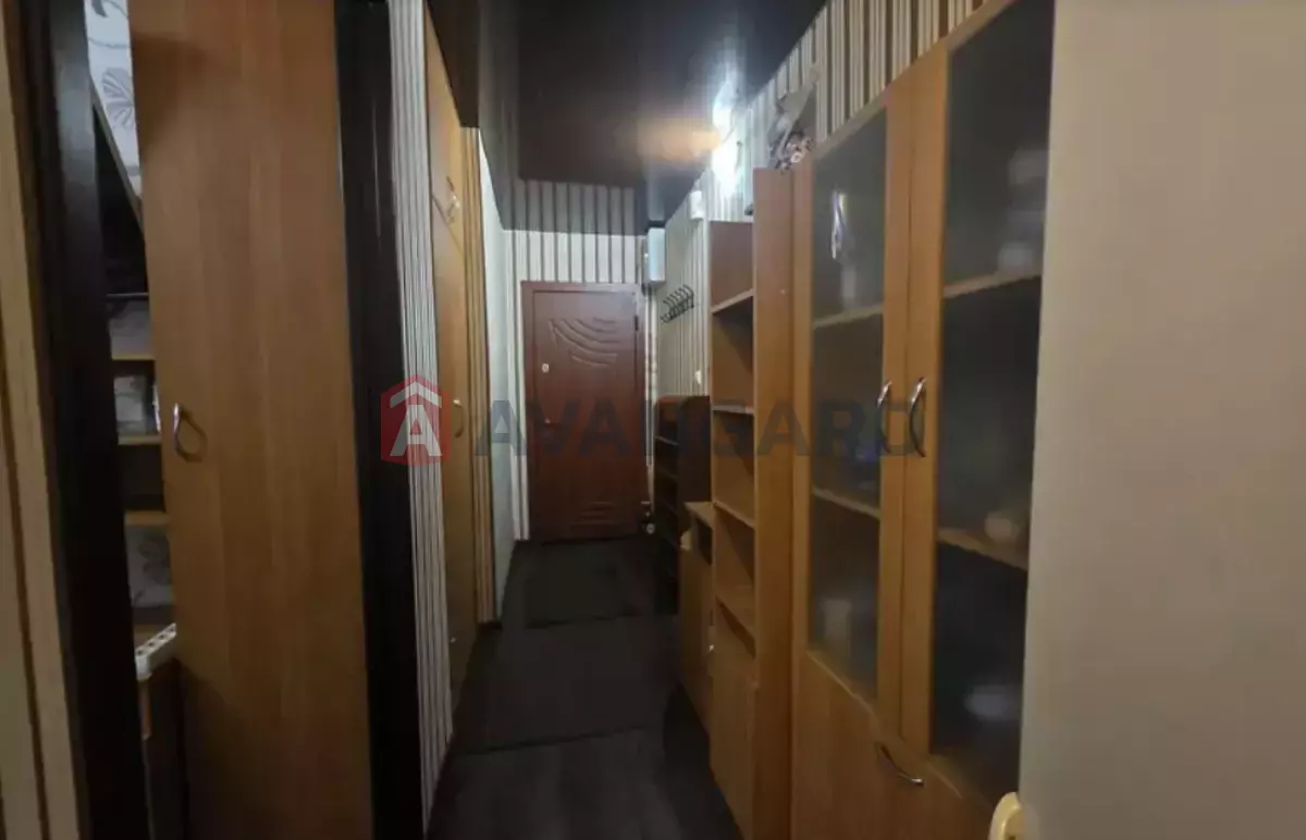 3 ����. ��������, 60/37/5 ��. �., 1/5 ���� ���� 3