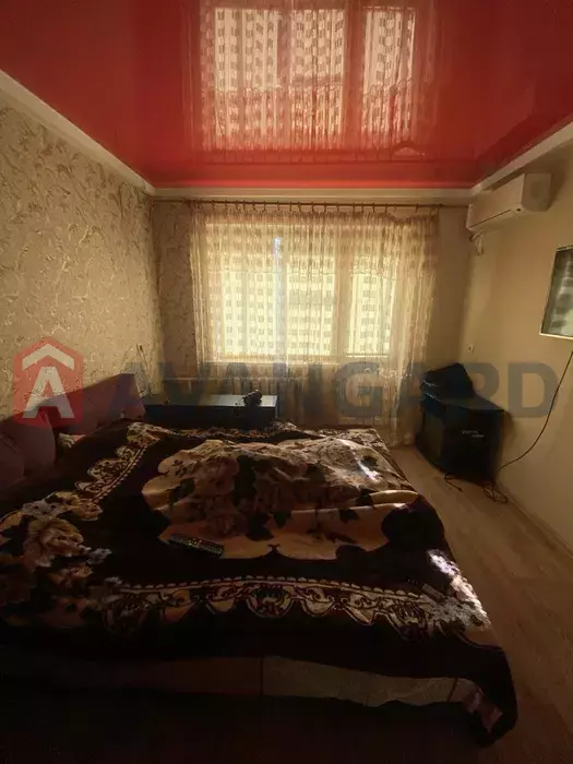 1 . , 29/-/6 . ., 5/5   6