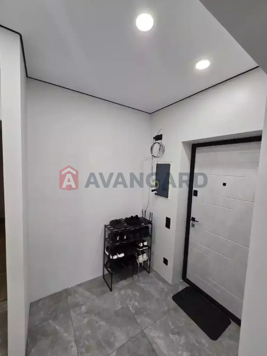 3 . , 56/-/- . ., 2/4   15