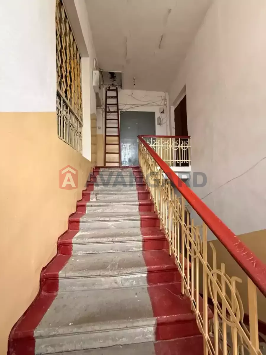 3 ��. ��������, 78/-/10 ��. �., 4/4 ������ ���� 12