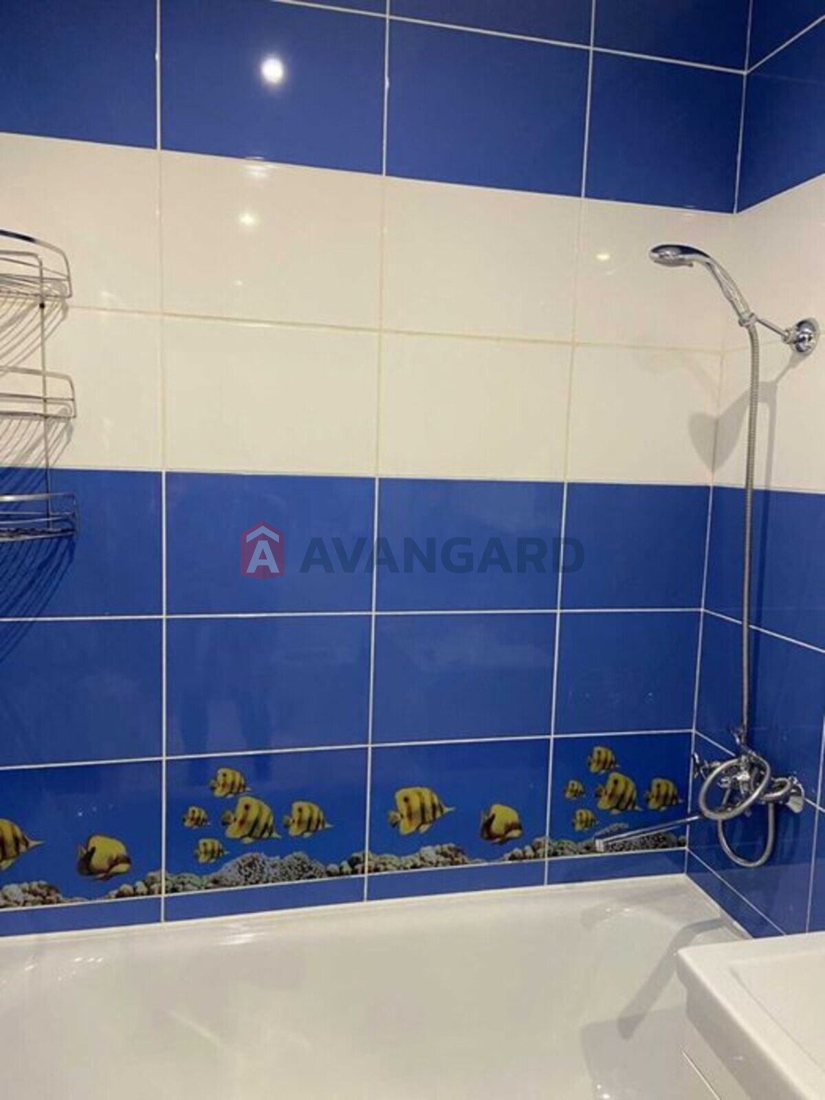 2 ��. ��������, 56/-/7 ��. �., 1/2 ������ ���� 3